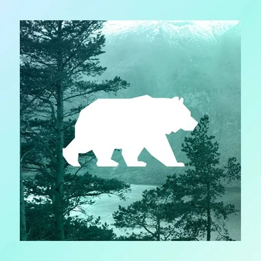 L’ours comme emblème, pourquoi ce choix ?
